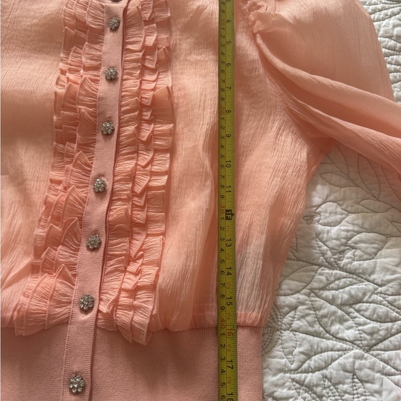 ZARA Sheer Blush Blouse | Crystal Flower Buttons Knit Waist /Romantic - Picture 9 of 10